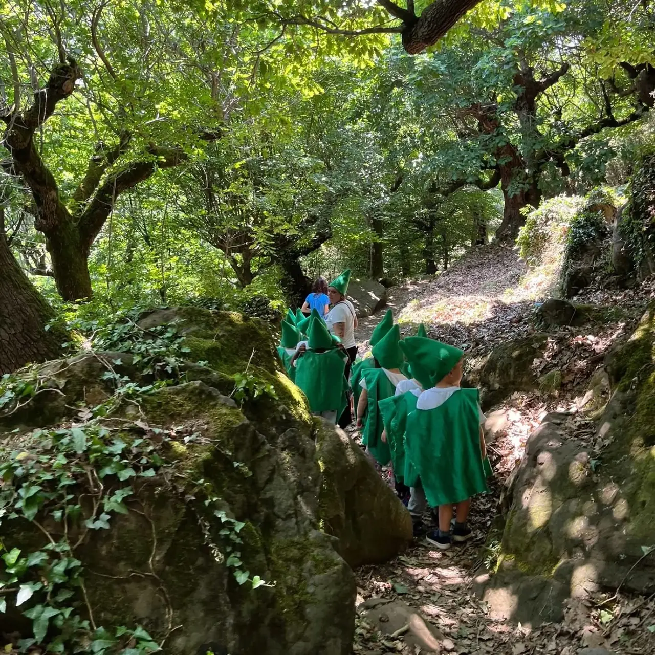 Bambini della scuola dell'infanzia di Albegno vestiti da folletti verdi in fila su un sentiero nel bosco